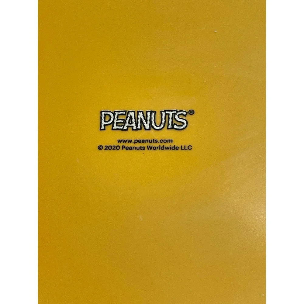 Peanuts Charlie Brown Good Grief Yellow Ceramic Pet Bowl Zig Zag Stripe 2020